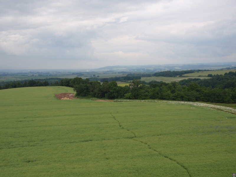 img00013.jpg