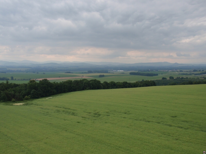 img00016.jpg