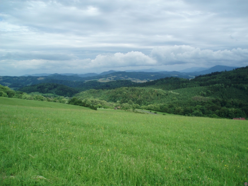 img00028.jpg
