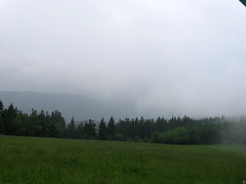 img00019.jpg
