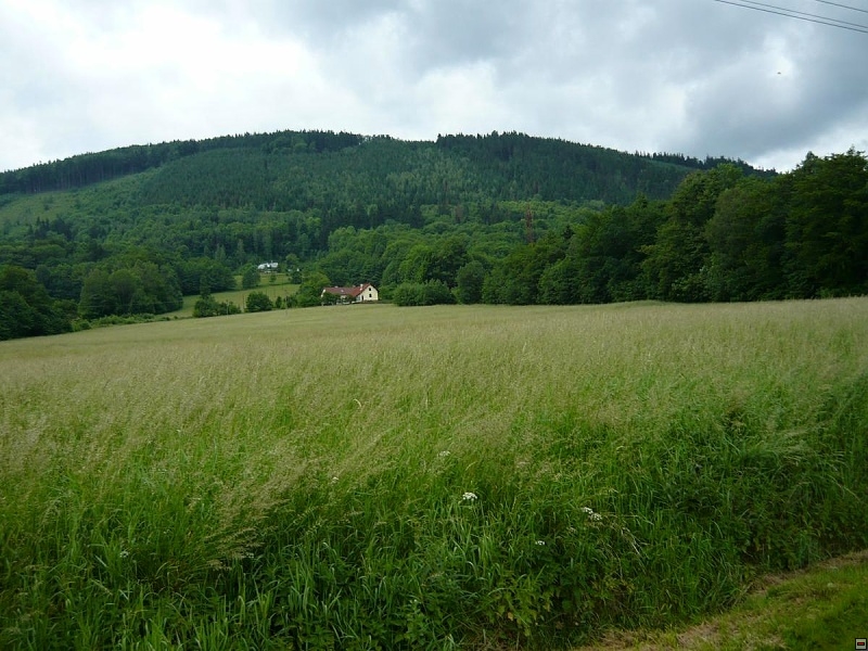 img00071.jpg
