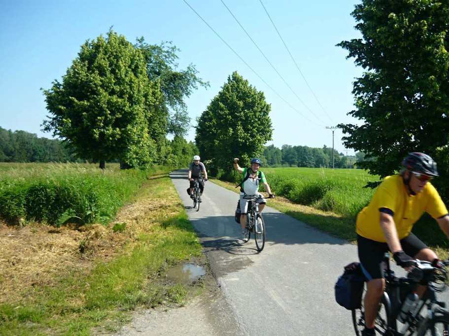 img00005.jpg